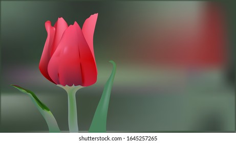 Red Tulip.Realistic red Tulip on the background of a blooming field.Close up.
