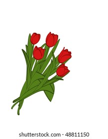 Red tulips
