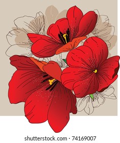 Red tulips