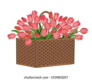 Red tulips in a big basket. Floral design icon. Vector illustration, isolated on white.