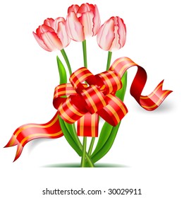 Red tulips with bow on white background, vector spring illustration