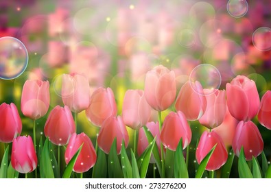 Red tulips flowers in the garden. vector illustration 