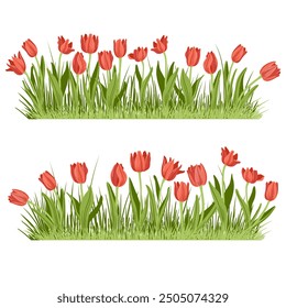 red tulips and green grass, spring flowers, vector drawing wild plants at white background, floral elements, hand drawn botanical illustration