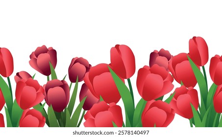 Red tulips growing. Spring background of flowers. Flowers for the celebration of March 8, Women's Day. Tulip flowers for the design of banners, brochures, posters, postcards. A public holiday.