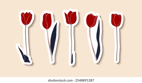 Tulipanes rojos dibujados a mano aislados sobre un fondo claro. Conjunto de pegatinas de flores