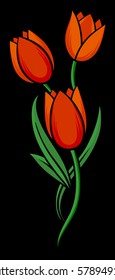 Red tulips isolated on black background. Vector illustration.
