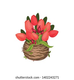 Red tulips are in the nest. Vector image on white background.