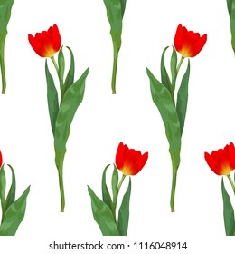 Red tulips on seamless background
