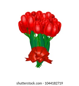 red tulips on a white background