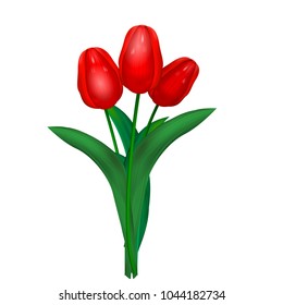 red tulips on a white background