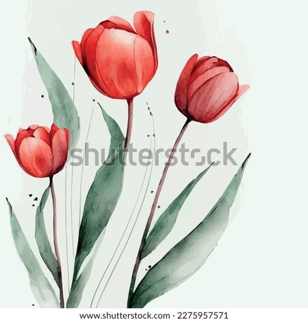 red tulips on a white background,tulips illustration. beautiful red tulips. flowers