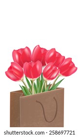 Red tulips in the paper bag, vector isolated in white background.