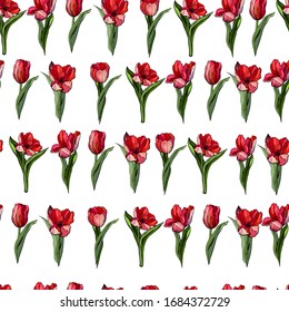 Tulipanes rojos , patrón con flores primaverales.