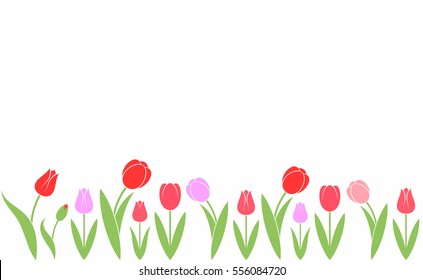 Red tulips and pink tulips. Abstract flowers on white background