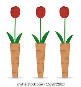 Red tulips placed in a vase, With three vases, Minimal style,Tall shape vase and modern style,For interior design,Isolated on white background,Vector illustrations.