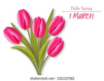 Red tulips realistic vector, white background