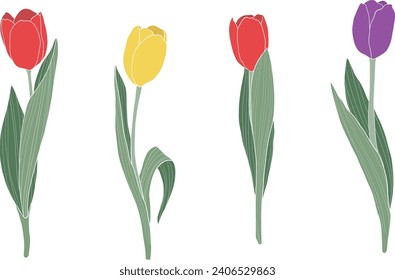 Red tulips set on transparent background.Spring flowers vector illustration.	