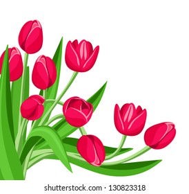 Red tulips. Vector illustration.