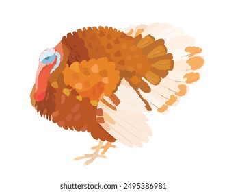 Red Turkey Vogel Vektorgrafik Charakter Illustration. Cartoon Nutzgeflügel, Wildtier isolierte Clipart.