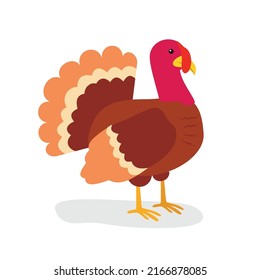 El pavo rojo se para en sus garras