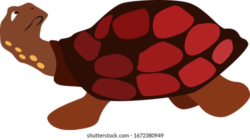 Red turtle, illustration, vector on white background.
