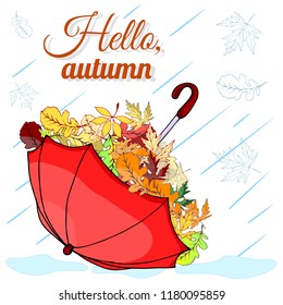 Red umbrella. A bunch of autumn leaves. Autumn rain. Hello, autumn. Vector illustration.