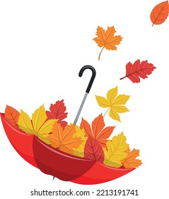 Red umbrella filled with autumn leaves, vector illustration.