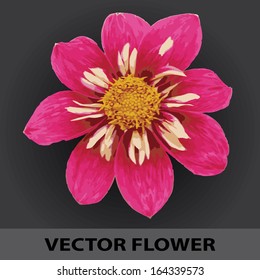 red vector flower eps10