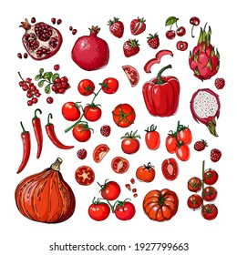 Red. Vector food. Colored vegetables and fruits on a white background. Tomato, pumpkin, dragon fruit, pomegranate, pepper, paprika, berries