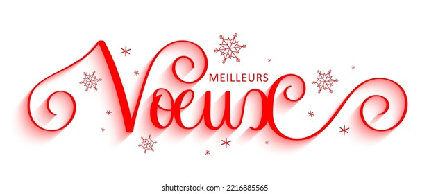 Red vector MEILLEURS VOEUX (HAPPY HOLIDAYS in French) brush calligraphy banner with snowflakes on white background