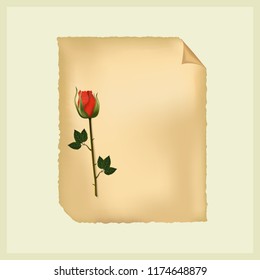 Red vector rose on an old sheet of paper