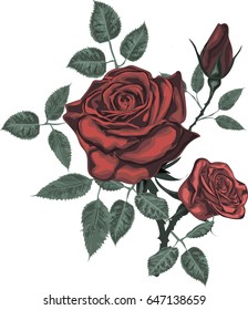 Red vector roses