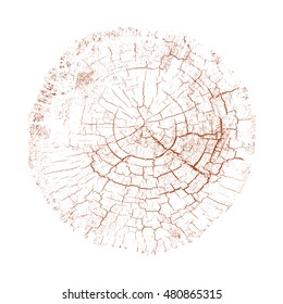 Red Vector Wood Texture Cross Section with Cracks and Tree Rings. Slice or Stump Isolated on White Showing Age and Years