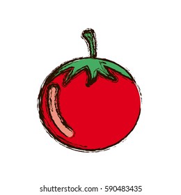 red vegetable tomato icon, vector illustraction design image