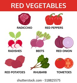 rote Gemüsesammlung, Vektorgrafik von Lebensmitteln, Rüben, Pfeffer, Radieschen, Radicchio, Zwiebeln, Kartoffeln, Rhabarbe, Tomate