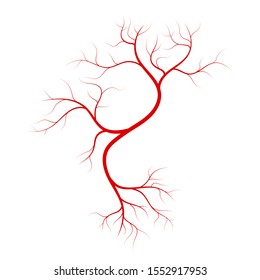 Red veins vector design illustration isolated on white background