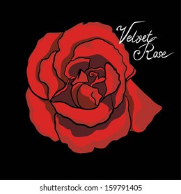 Red velvet rose