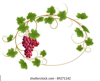 Red vine on a white background