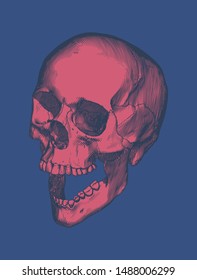 Red vintage engraving drawing human skull open jaw perspective high angle camera view isolated on blue background