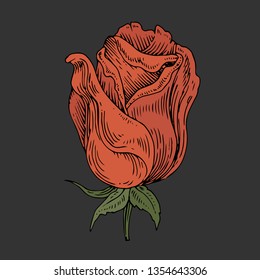 red vintage rose