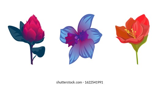 Red Vriesea. Red Amaryllis. Vector illustration. Isolated illustration element. Floral botanical flower. Wild leaf wildflower isolated. Exotic tropical hawaiian jungle.