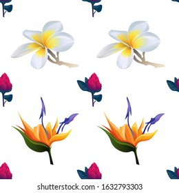 Red Vriesea. Orange Strelitzia. White Plumeria. Vector illustration. Seamless background pattern. Floral botanical flower. Wild leaf wildflower isolated. Exotic tropical hawaiian jungle. Fabric.