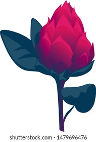 Red Vriesea. Vector illustration. Isolated illustration element. Floral botanical flower. Wild leaf wildflower isolated. Exotic tropical hawaiian jungle.