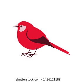 red warbler, vector illustration,flat style,profile view