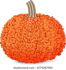 Red Warty Thing Pumpkin. Winter squash. Cucurbita maxima. Fruits and vegetables. Isolated vector illustration.