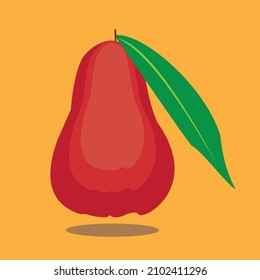 red water guava orange background vector illustration