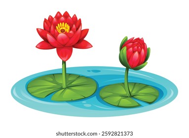 Red water lily flowers blooming on water, surrounded by lily pads, in a pond. Vector cartoon illustration