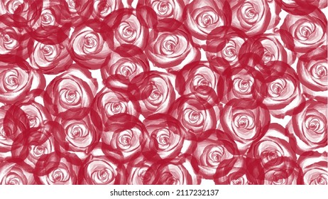 Rotes Aquarell-Hintergrund für Ihr Design, Aquarellhintergrund-Konzept, Rose.Vektor.