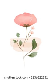 Red watercolor flower isolated on white background.