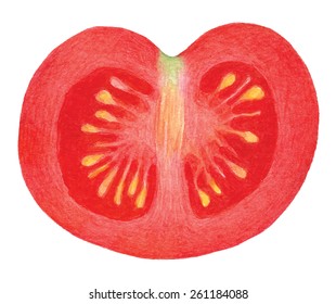 red watercolor tomato   - watercolor vector illustration fresh organic natural food
